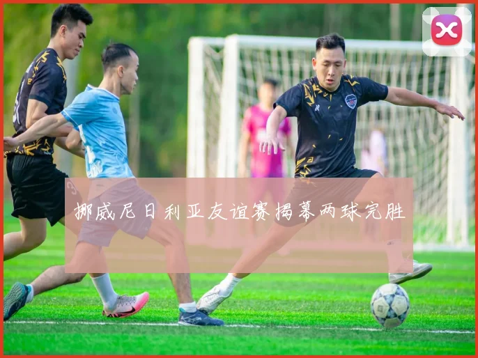 挪威尼日利亚友谊赛揭幕两球完胜